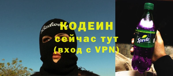 дживик Осинники
